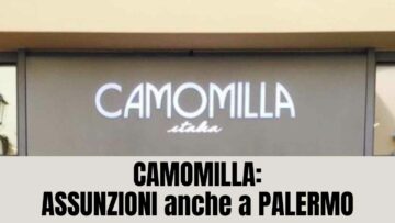 Camomilla