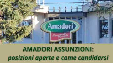 Amadori assunzioni