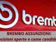 Brembo Assunzioni