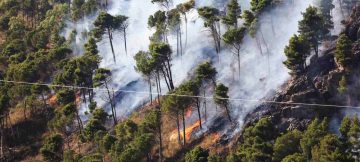 1690620253-palermo-incendi-altofonte