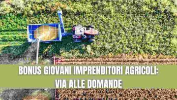 BONUS GIOVANI AGRICOLTORI