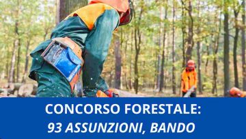 Concorso Forestale