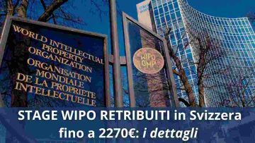 Stage Wipo retribuiti