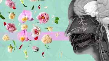 Alexander Wiltschko insieme al suo team Osmo hanno ideato un modello di intelligenza artificiale in...