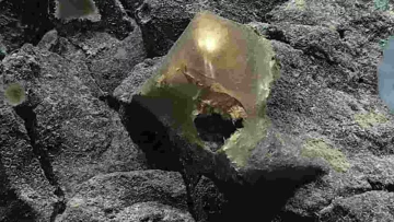 In Alaska è stato ritrovato uno strano uovo dorato, i ricercatori suggeriscono che si possa trattare...