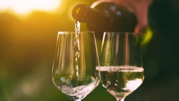 Dal 21 al 23 Ottobre si svolgerà all'Orto Botanico di Palermo il Wine Sicily, l'evento tanto atteso...