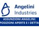 Assunzioni Angelini