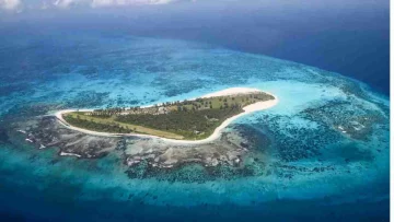 La natura non smette mai di stupire, ed anche questa volta lascia il mondo intero a bocca aperta...