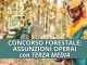 Concorso Forestale