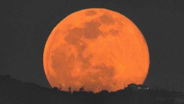 Segnati questa data per un spettacolo celeste: la "Luna del Castoro", la dodicesima Luna Piena del...