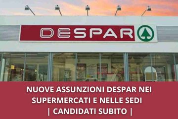 Despar Assunzioni