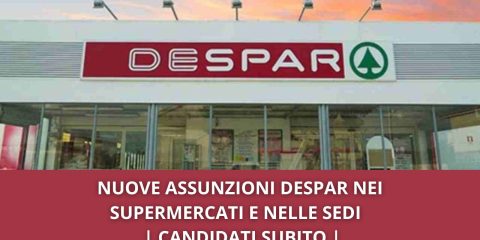 Despar Assunzioni