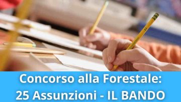 Concorso alla Forestale