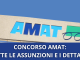 Amat Concorso