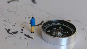 Tirocini Retribuiti OCSE 2024, Bando per studenti con rimborso 1.000 euro – L’Organizzazione per la...