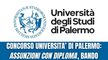 E' stato indetto un concorso all'Università di Palermo per l'assunzioni di figure a tempo...