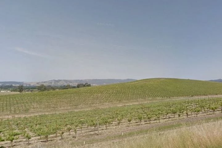 Sfondo Windows XP oggi 