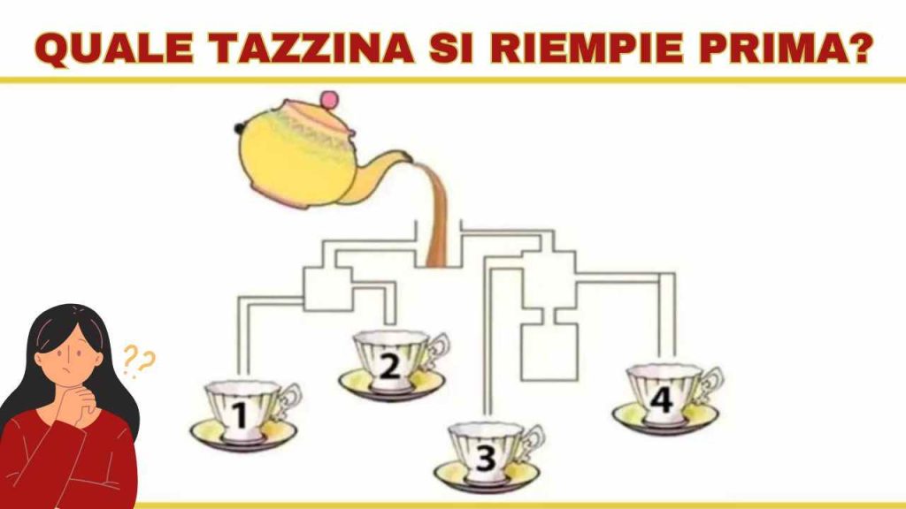 tazzina