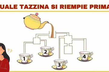 tazzina