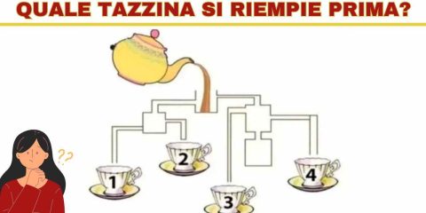 tazzina