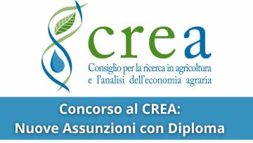 Concorso al Crea