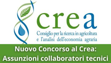 Crea