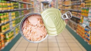 Gambero Rosso ha pubblicato la classifica 2025 del migliore tonno in scatola all’olio d’oliva, ecco...