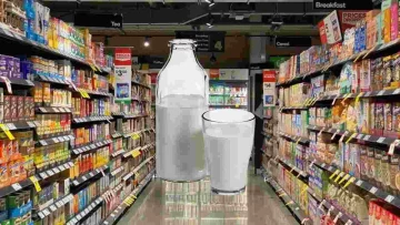 Scopri la classifica delle 10 migliori marche di latte parzialmente scremato che stanno conquistando...