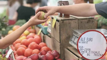Un'anziana turista ipovedente si ferma a una bancarella per acquistare un pezzo di pecorino e una...