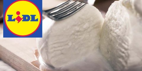 Mozzarella Lidl