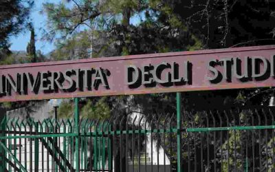 università