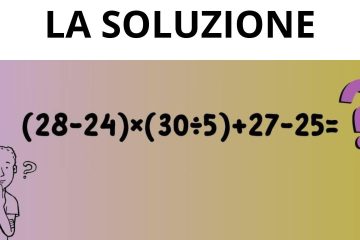 LA SOLUZIONE