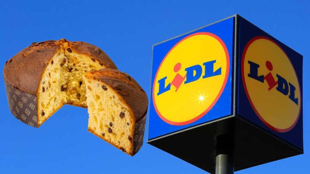 Panettone Lidl