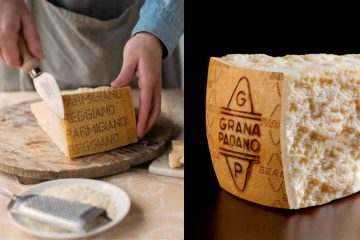 Parmigiano Reggiano Grana Padano