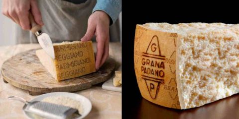 Parmigiano Reggiano Grana Padano