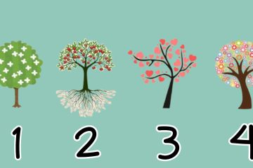 test della personalità: scegli l'albero