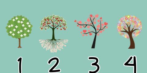 test della personalità: scegli l'albero