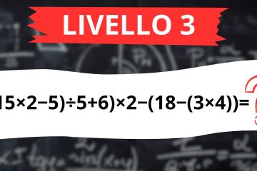 Livello 3