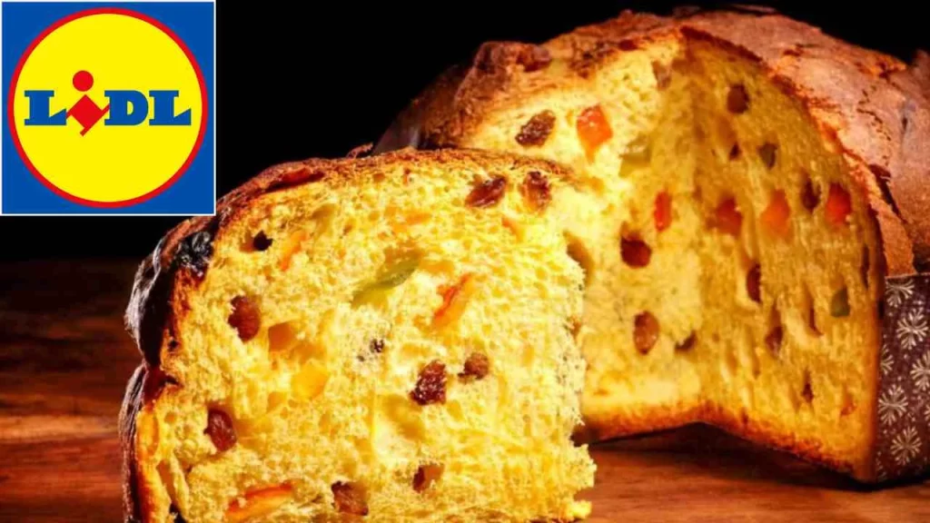 Panettone Lidl, non appena scopri chi lo produce cambia tutto, qualità top a metà prezzo da un...