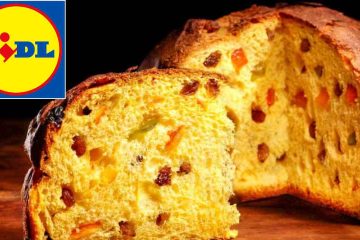 Panettone Lidl