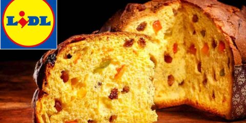 Panettone Lidl