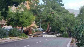 Palermo raffiche di vento