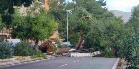 Palermo raffiche di vento