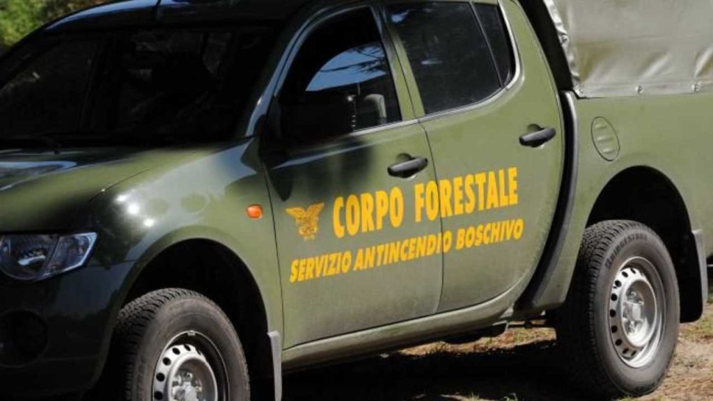 Corpo Forestale