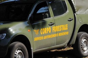 Corpo Forestale