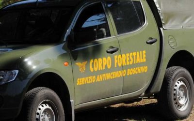 Corpo Forestale