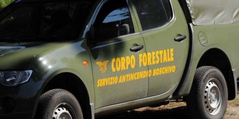 Corpo Forestale