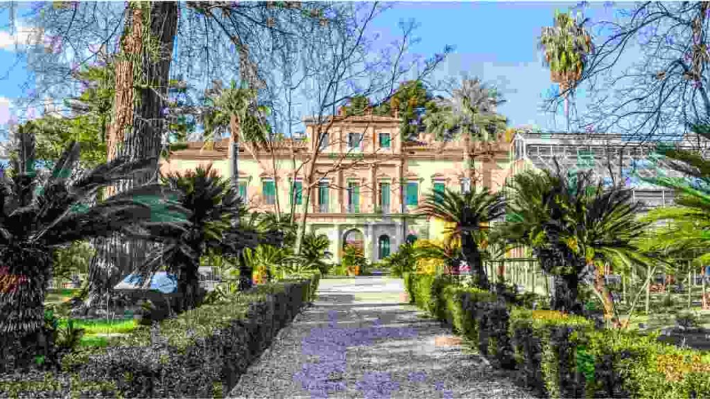 Giardino, orto botanico 