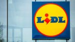 LIDL distrugge la Concorrenza: L’Offerta è Folle, con Pochi Spicci ti Rifai il Guardaroba | File dalle 6 del mattino nei negozi