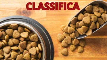 Scopri la classifica aggiornata delle migliori crocchette per cani secondo Altroconsumo: ecco le...